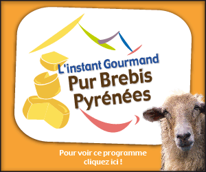 Découvrez les fromages Pur Brebis Pyrénées en vidéo