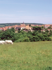 Le village de Flavigny-sur-Ozerain
où sont toujours fabriqués les Anis de Flavigny®
Photo : DR