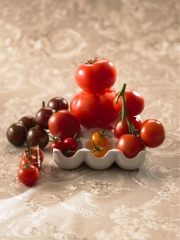 Tomates
Photo : © AOPn tomates et concombres de France