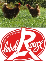 Le Logo Label Rouge
Photo : DR