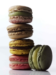 Macarons Pierre Hermé
Photo : DR