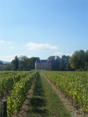 Le Domaine de Talancé en Beaujolais
Photo : DR