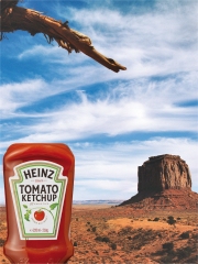 Ketchup Heinz : l'original