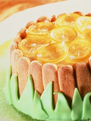 Charlotte couleur nature
Photo : © Les amis de la Charlotte