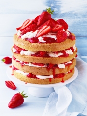 Fraisier Express aux Fraises du Périgord IGP
Photo : © Julie Mechali