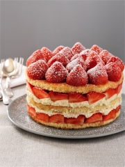 Fraisier