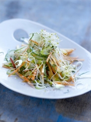 Salade de concombre à l'asiatique
Photo : © JC. Amiel / N. Arnoult