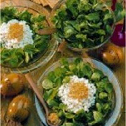 Recette Mâche aux oeufs Mimosa