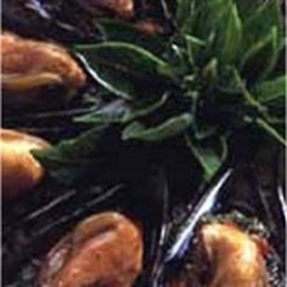 Moules au pistou