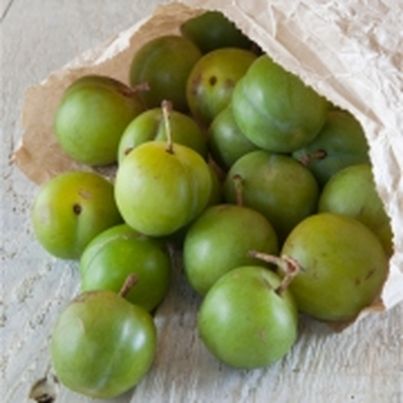 Pâté aux prunes