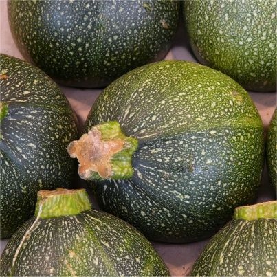 Recettes à base de courgette