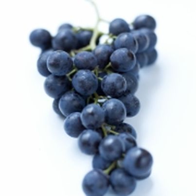Recettes à base de raisins : cuisiner les raisins